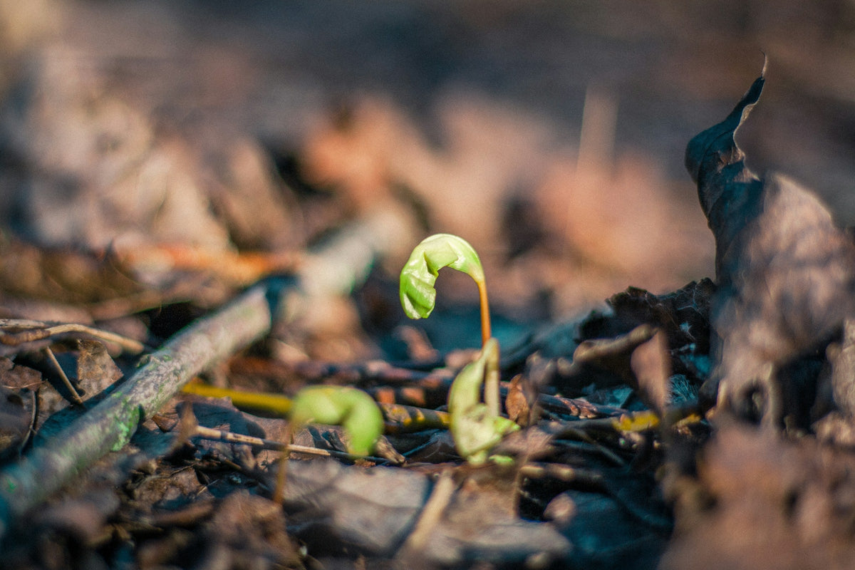 Every Season Leaves Something Behind.